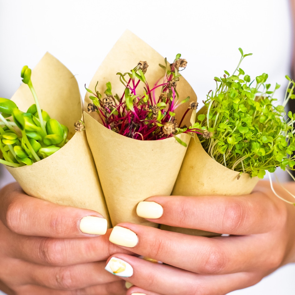 Nutrient Deficient? These 17 Types of Microgreens Might Be the Best Solution