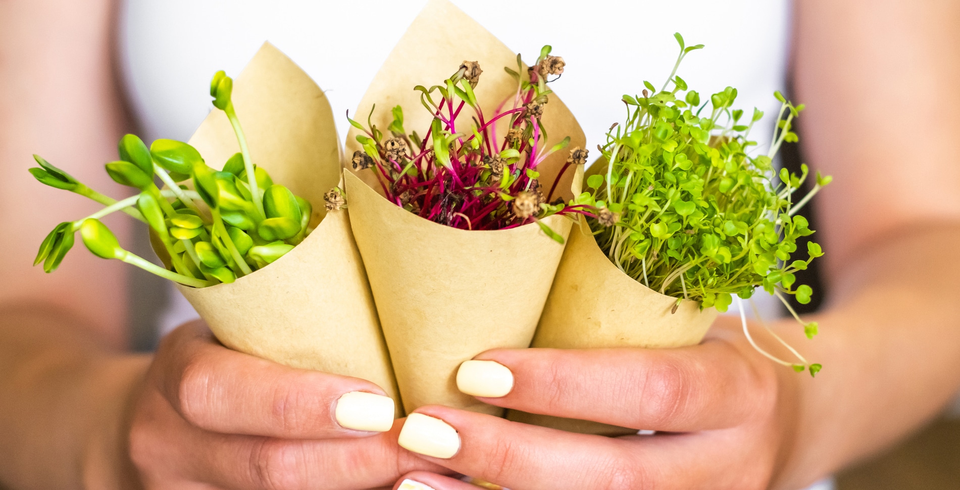 Nutrient Deficient? These 17 Types of Microgreens Might Be the Best Solution