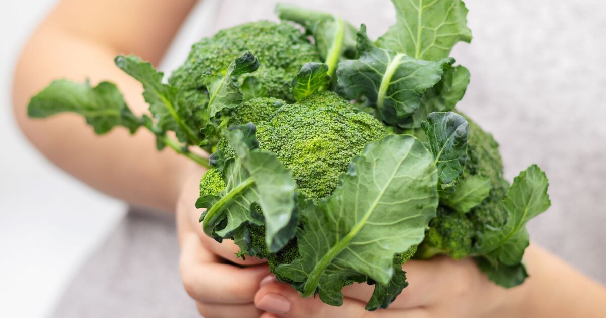 The Next Big Vegan Protein Is Broccoli Waste? This Startup Says Yes.