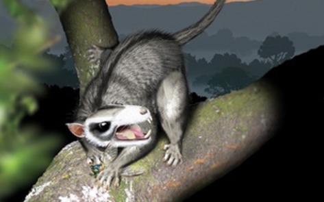 Ancient Vegan Mammals Found