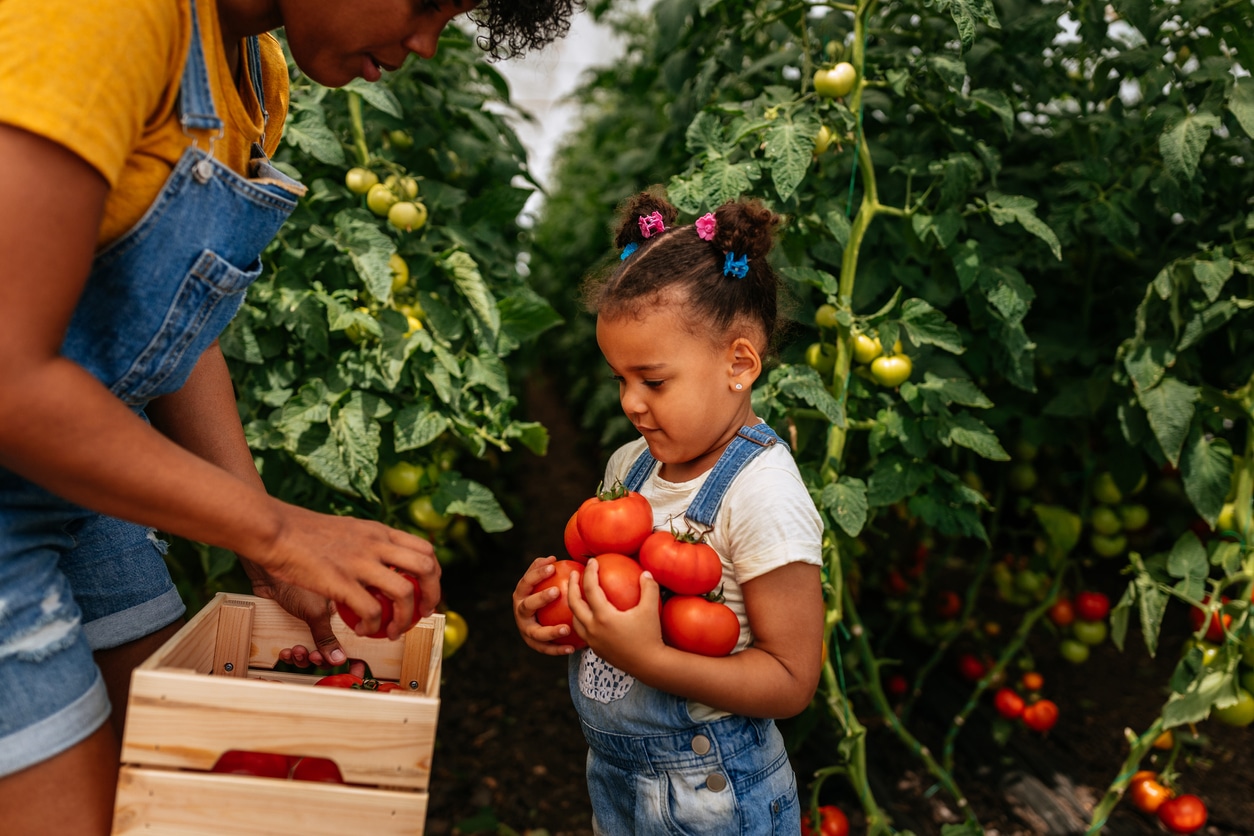 VegNews.GirlPickingTomatoes.Getty