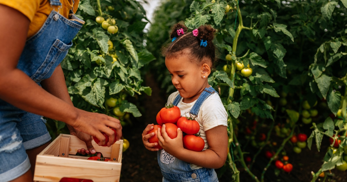Why Less Meat and More Plants Could Help Solve Food Insecurity