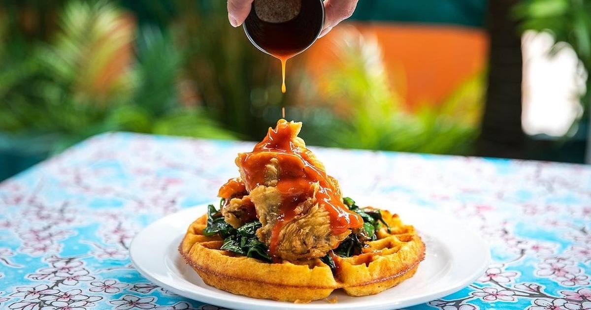 These Are the Best Diners for Vegan Food in the US - Vimarsana News