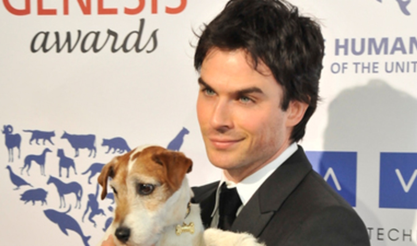 Ian Somerhalder Opening Animal Sanctuary VegNews