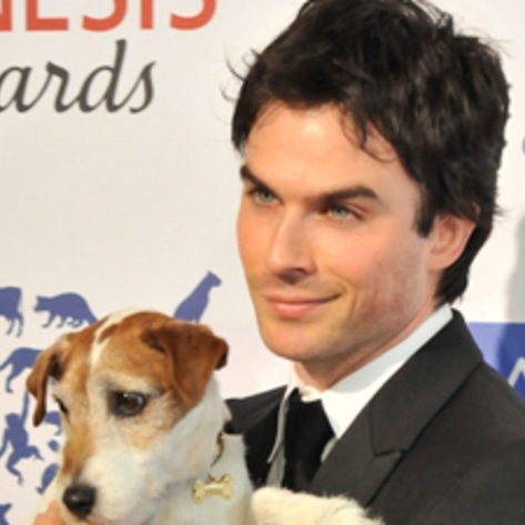 <i>Rise of the Planet of the Apes</i> among Winners at 2012 Genesis Awards