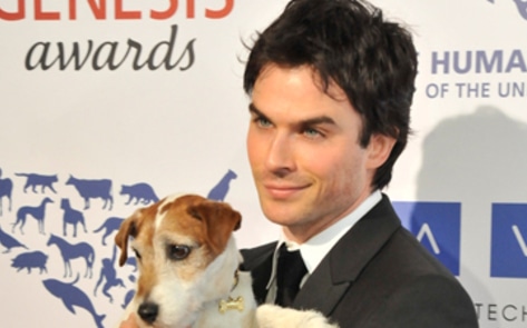 Ian Somerhalder Opening Animal Sanctuary