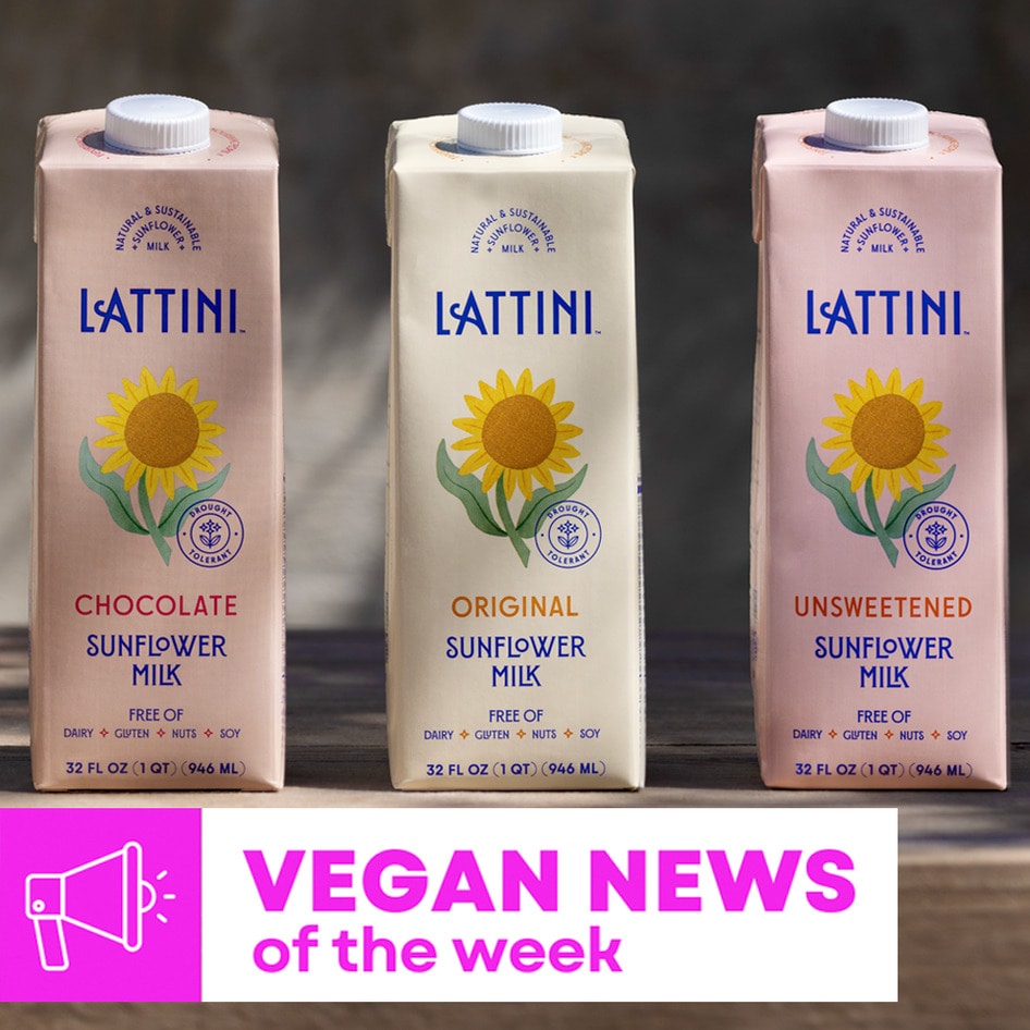 Vegan Food News of the Week: Olive Oil Cheeses, Sunflower Milk, and More