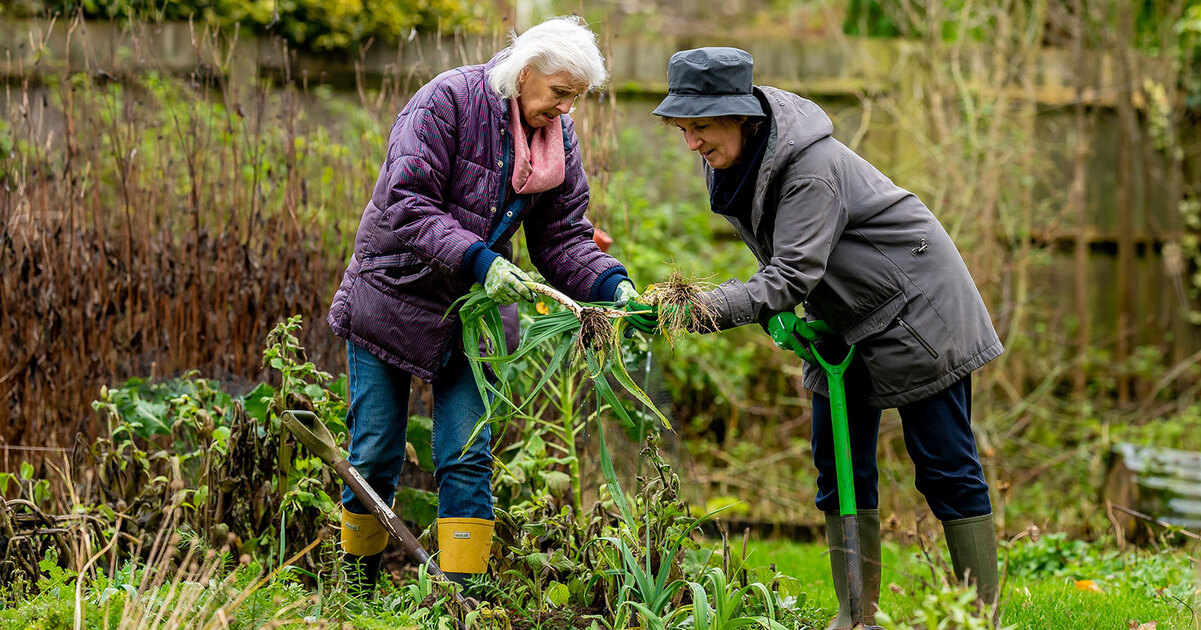 The Joys and Bounty of Planting a Fall and Winter Garden