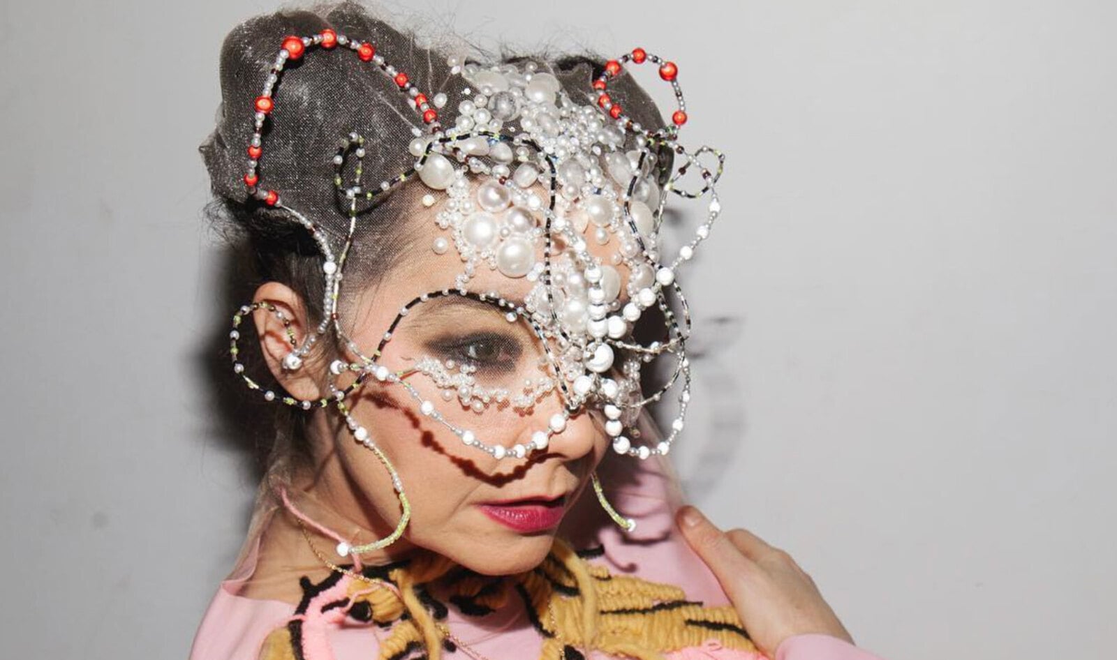 Björk's Apology to Whales as Hunting Returns to Iceland for Whale Meat Vending Machines