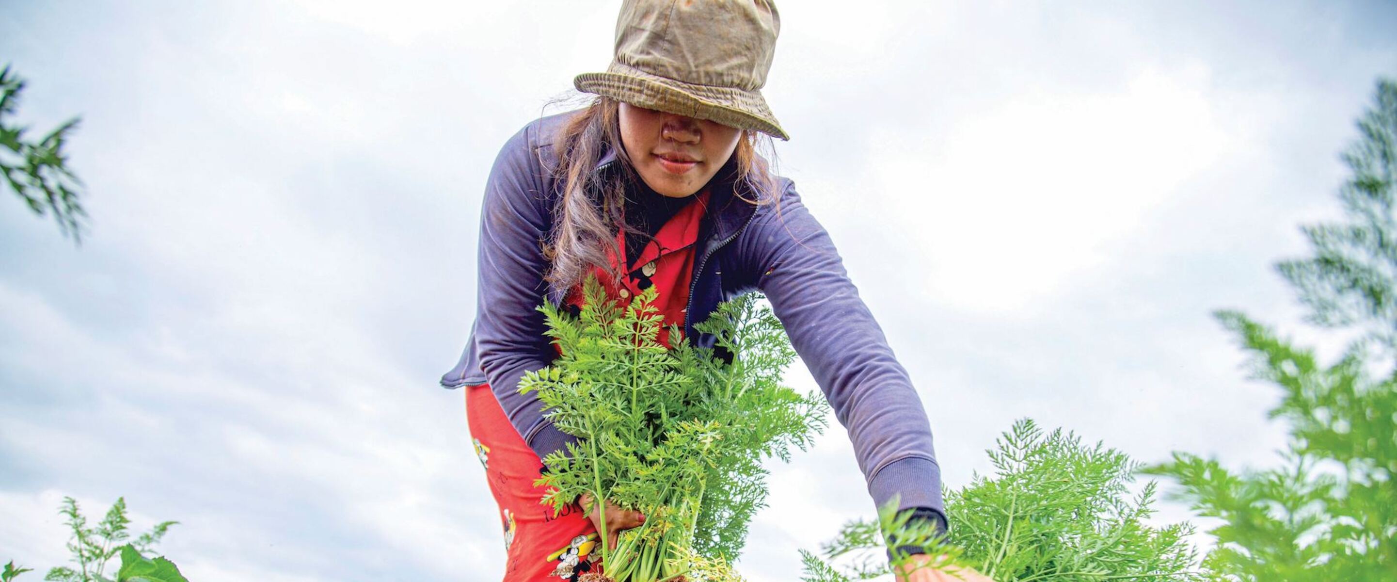 From Broccoli to Beets: 8 Cool Foods to Plant This Fall