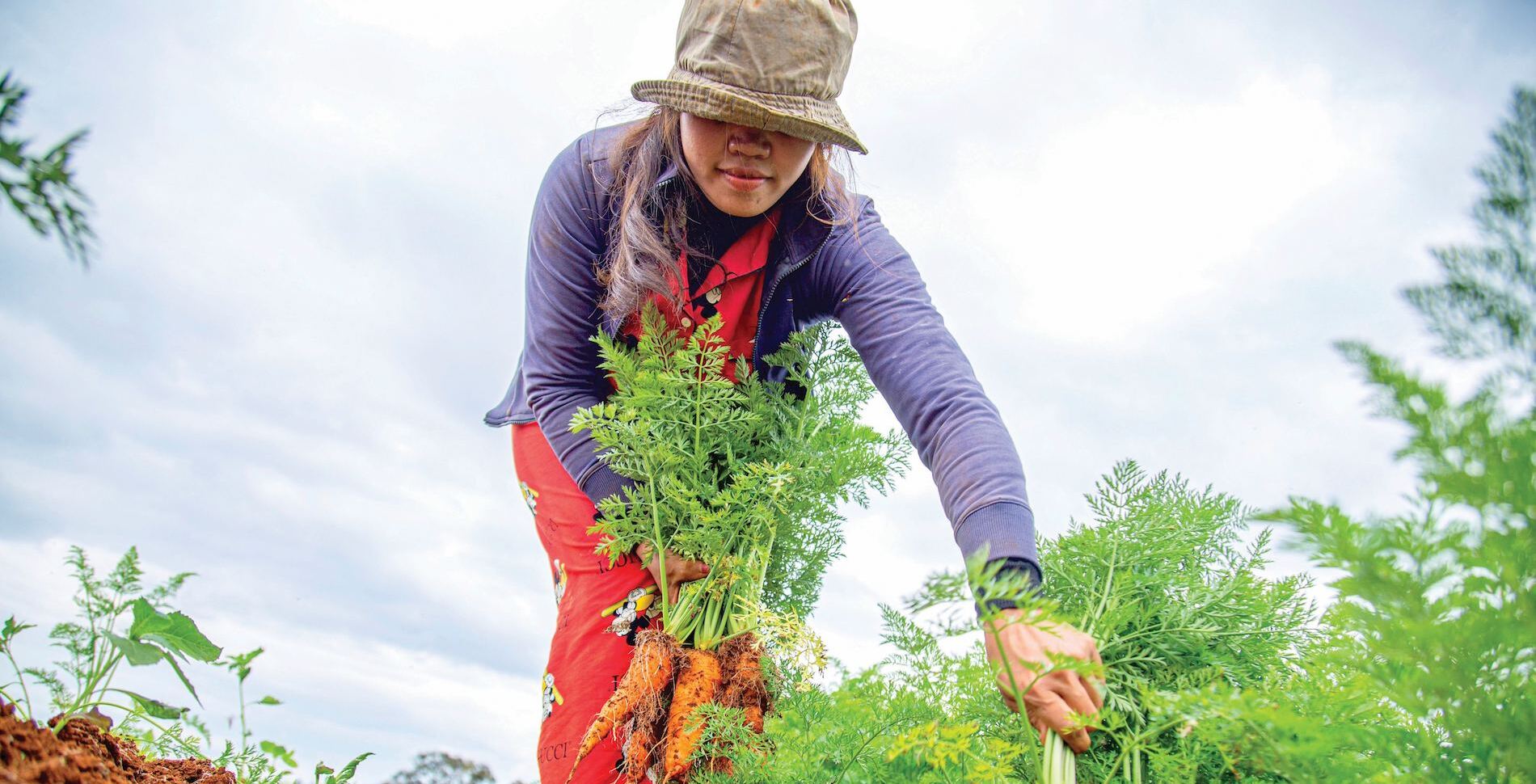 From Broccoli to Beets: 8 Cool Foods to Plant This Fall