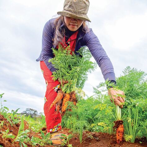 8 Cool Foods to Plant This Fall