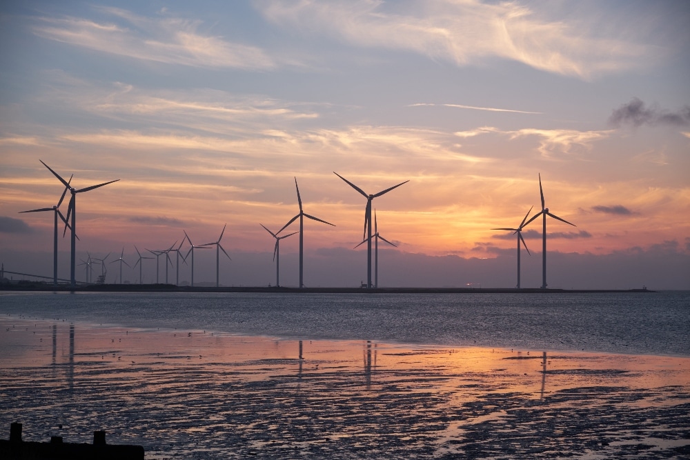 VegNews.windfarm.pexels