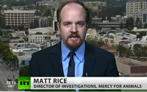 MFA Activist Speaks About Investigations on RT