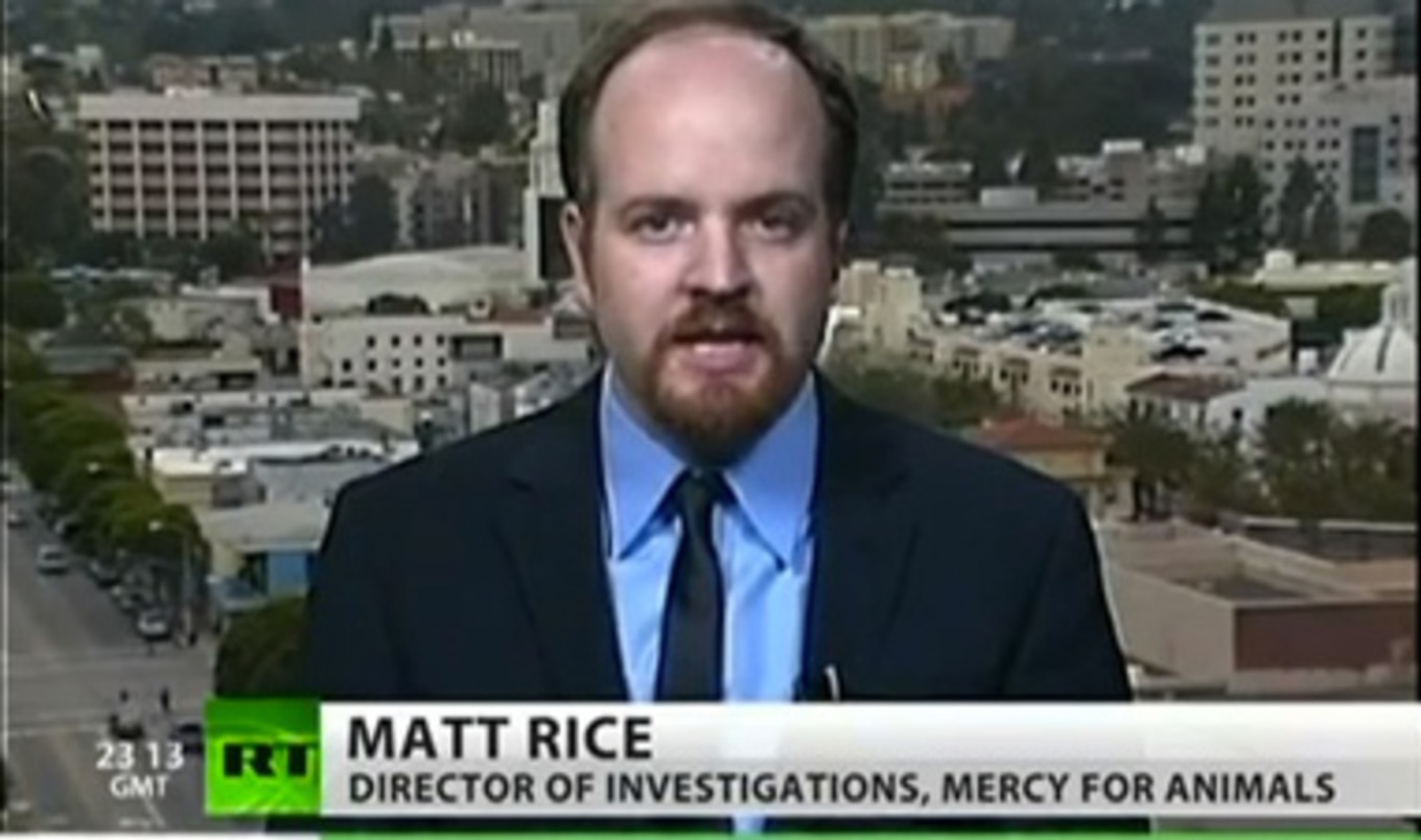 MFA Activist Speaks About Investigations on RT
