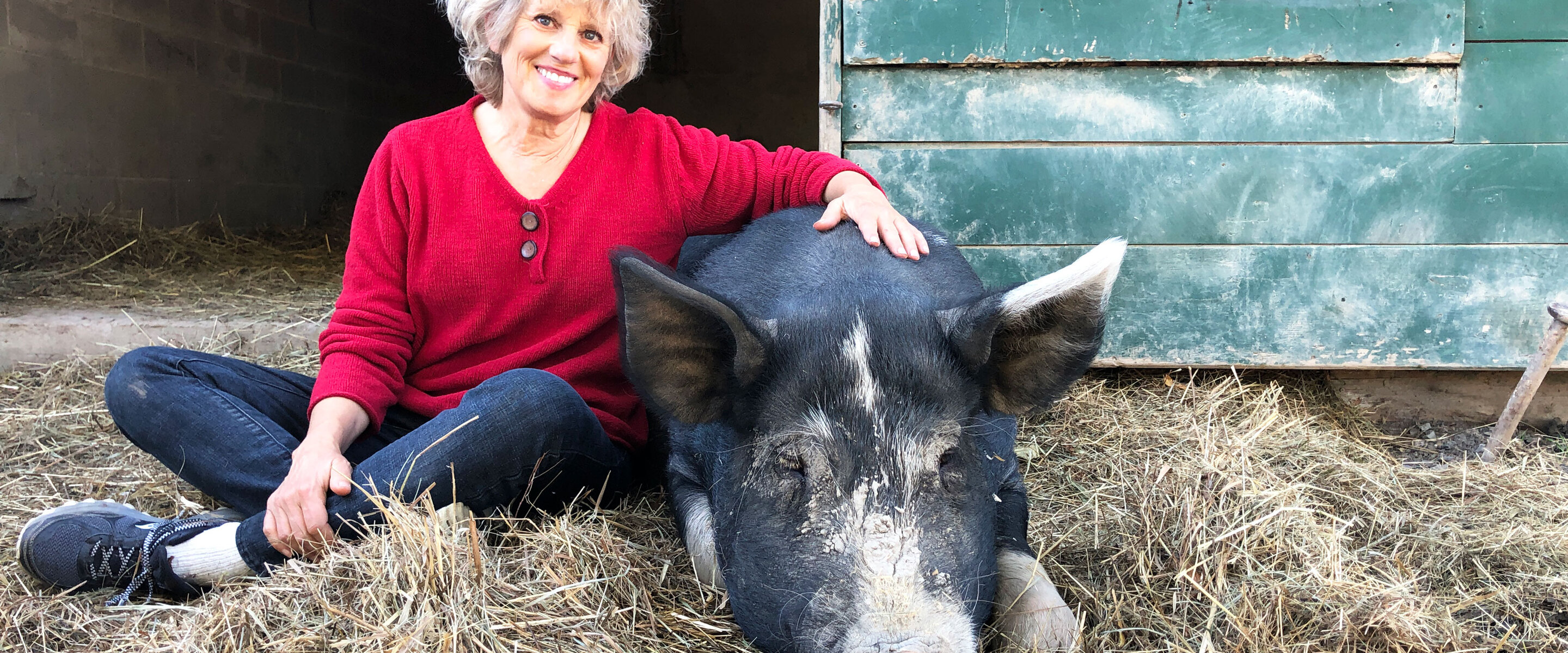 5 Ways You Can Help Your Local Animal Sanctuary This Winter