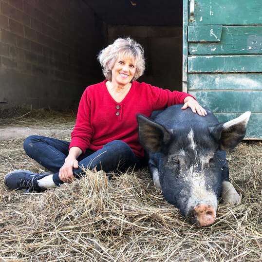 5 Ways You Can Help Your Local Animal Sanctuary This Winter
