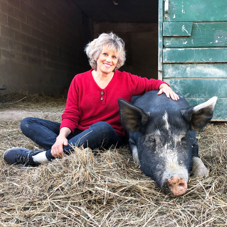 5 Ways You Can Help Your Local Animal Sanctuary This Winter