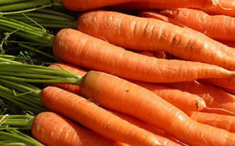 Raw Coconut Carrot Cake