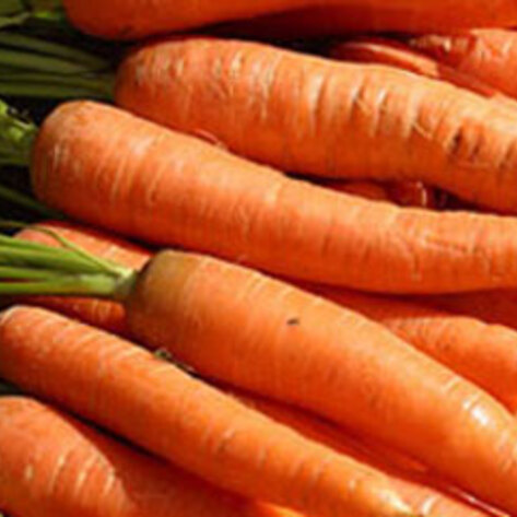 Raw Coconut Carrot Cake