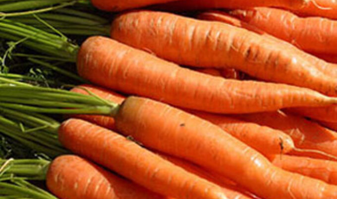 carrotsLG