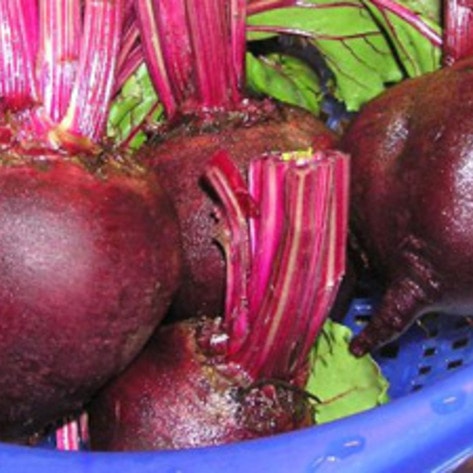 GMO Beets Enter Market