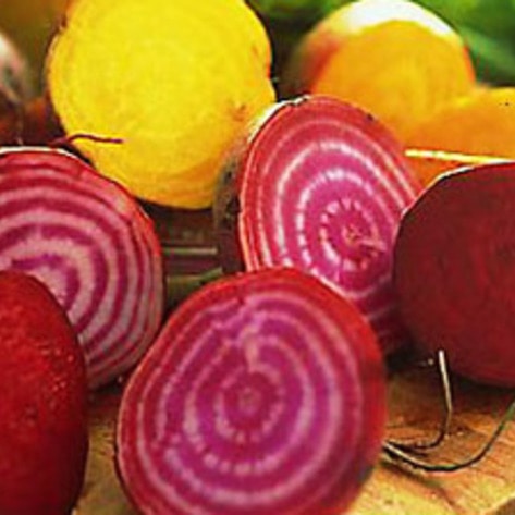 colorfulbeets