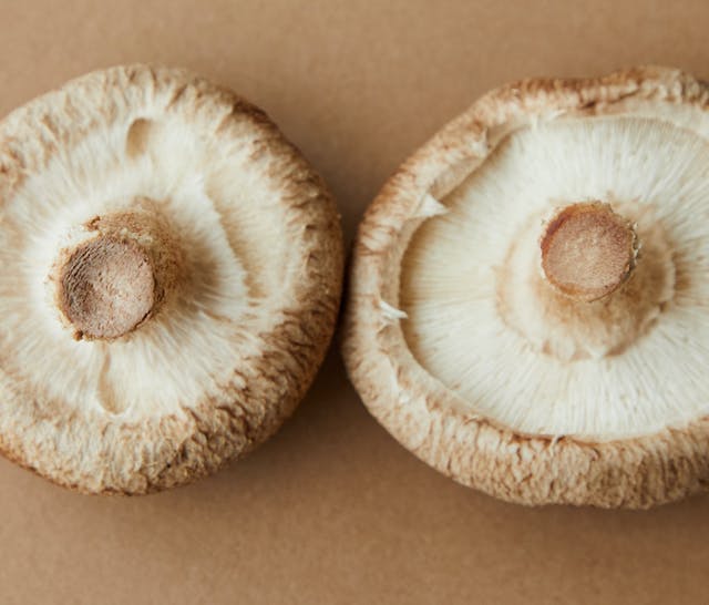 VegNews.mushrooms.pexels