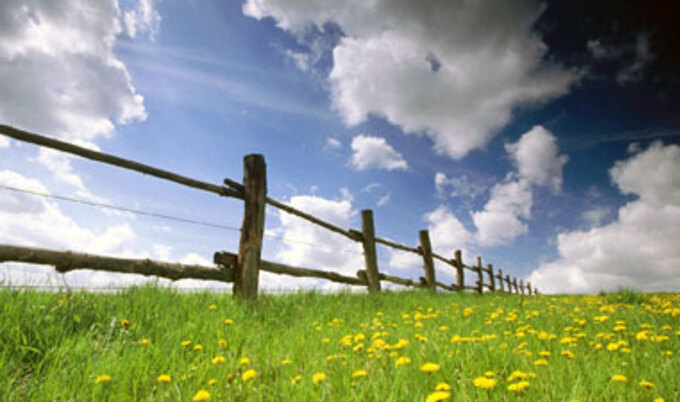 grass_field_pasture_VND