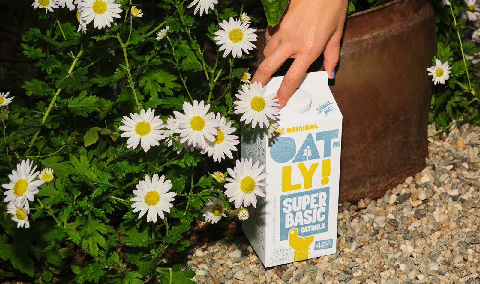 Oatly Joins Califia Farms, Silk, And Ripple To Blow Up The $7.4 Billion Unsweetened Vegan Milk Category