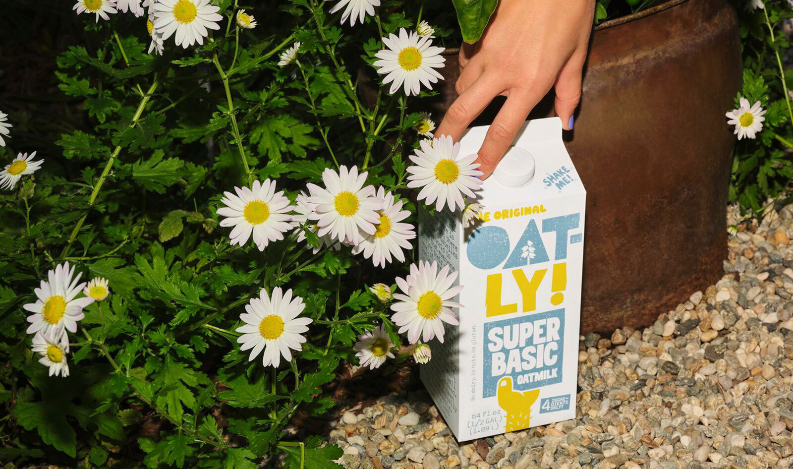 Regenerative Farming and $700 Million Have Made Your Oat Milk Political Now