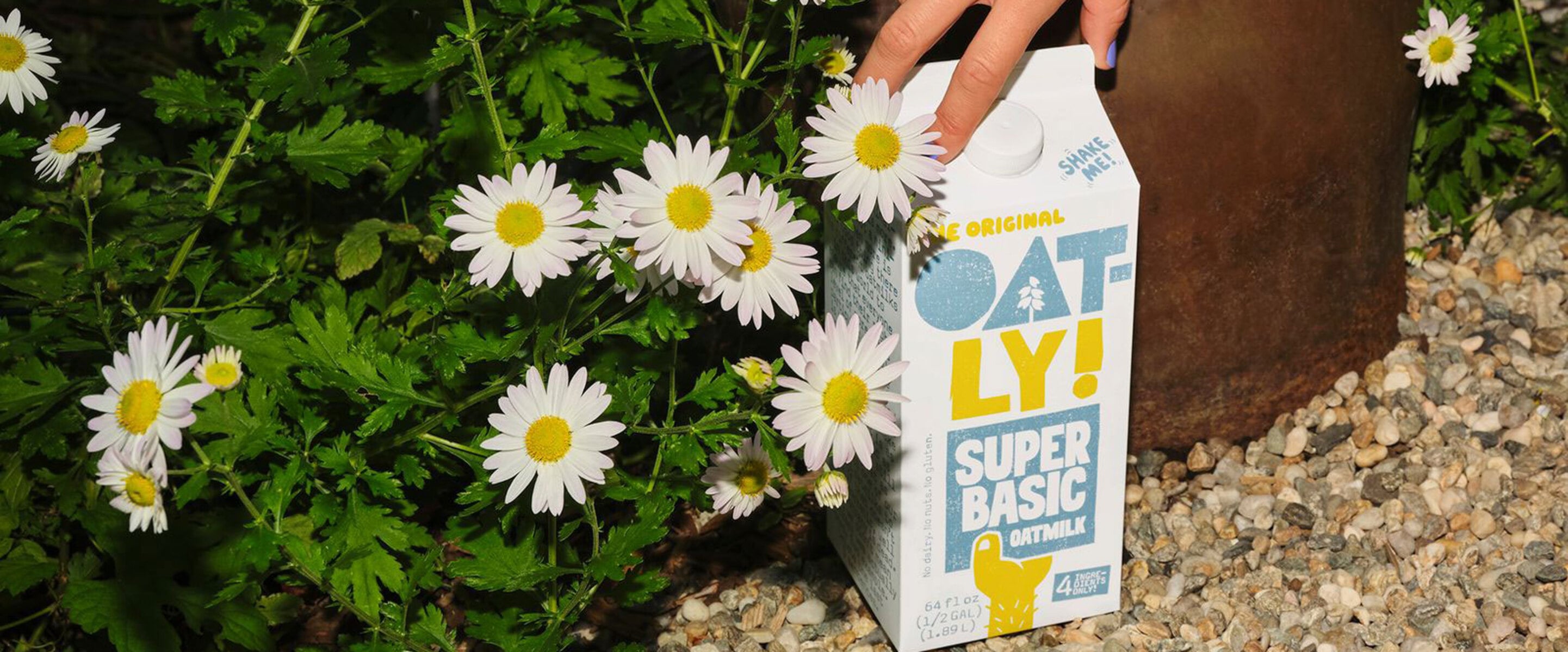 Regenerative Farming and $700 Million Have Made Your Oat Milk Political Now