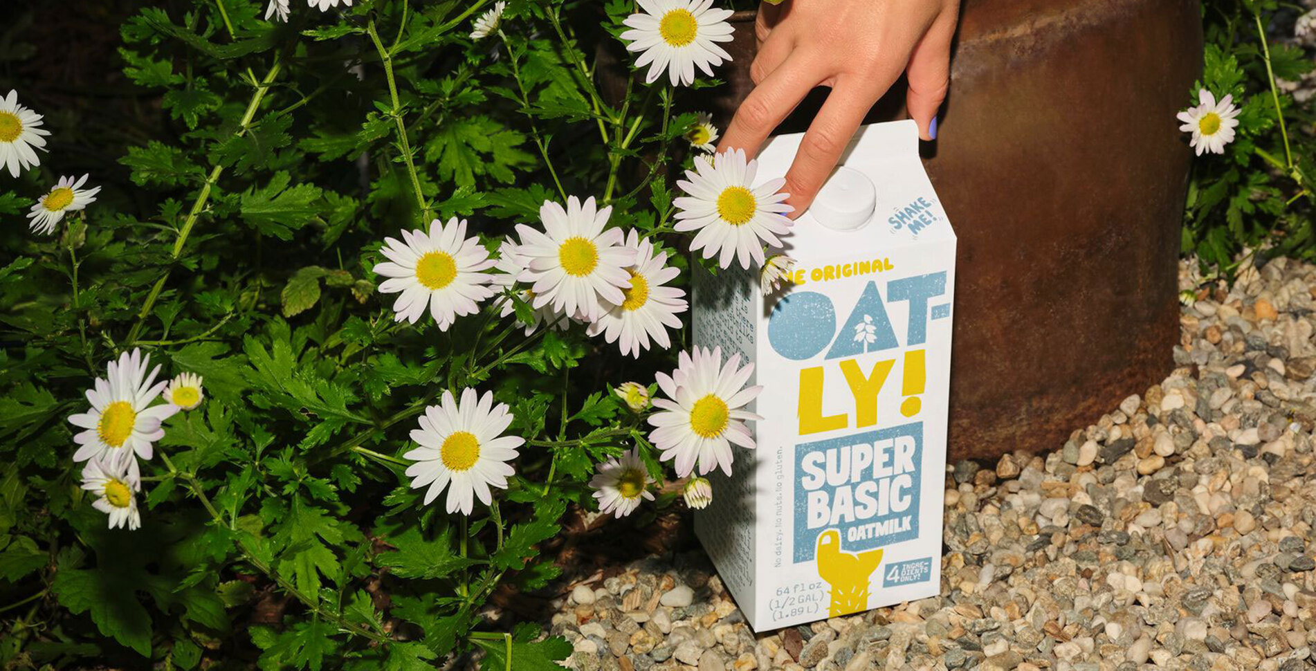 Regenerative Farming and $700 Million Have Made Your Oat Milk Political Now