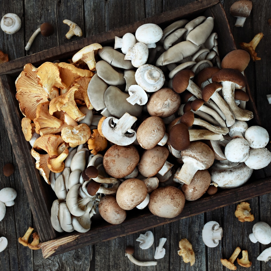 Four Functional Mushrooms That Might Fight Cancer and Boost Your Brain Health