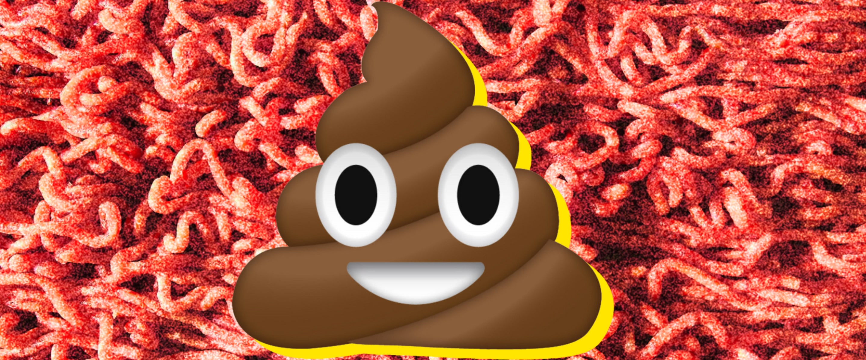 Blame Pork and Beef, Not Lettuce, for America’s Crappy E. Coli Problem