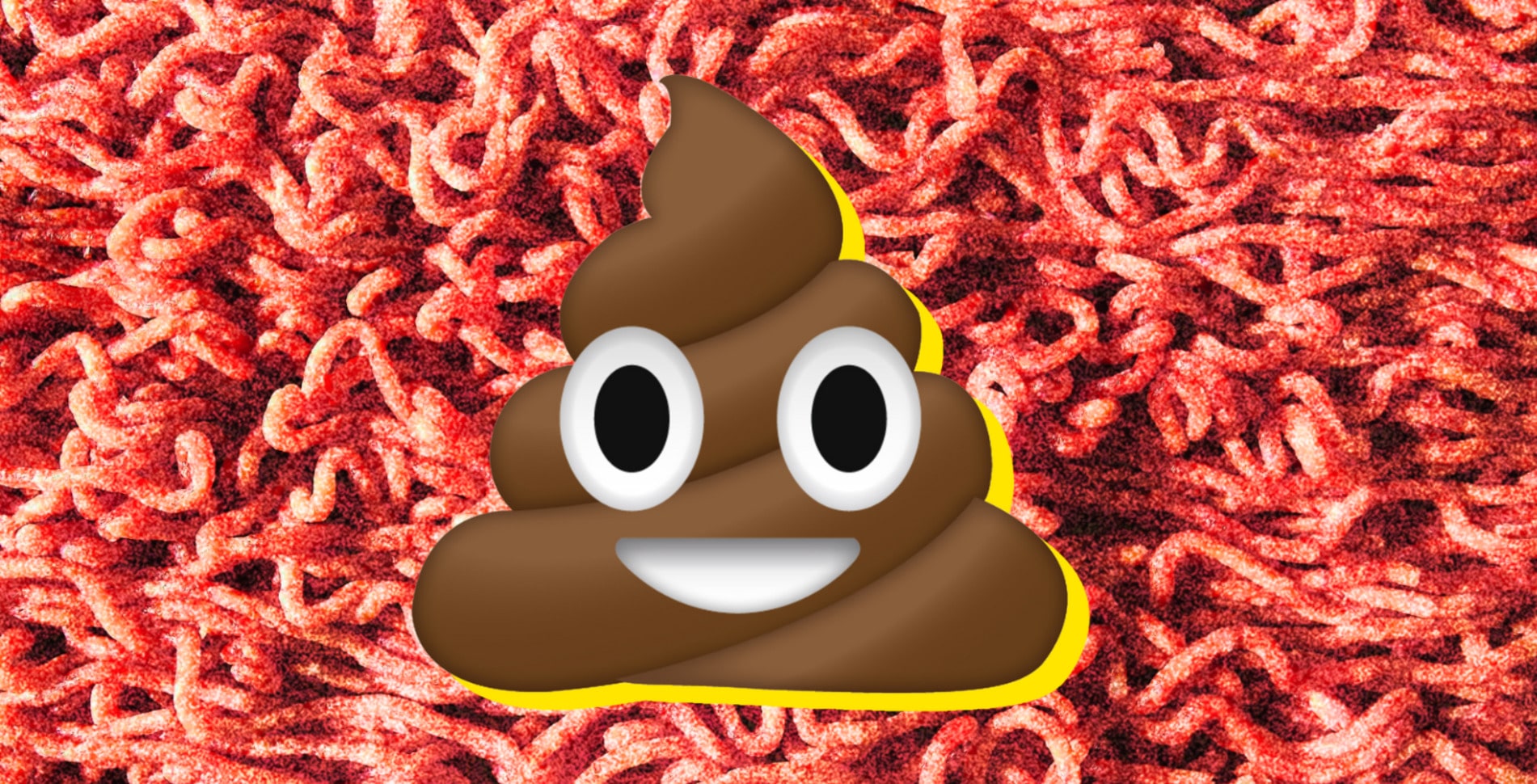 Blame Pork and Beef, Not Lettuce, for America’s Crappy E. Coli Problem