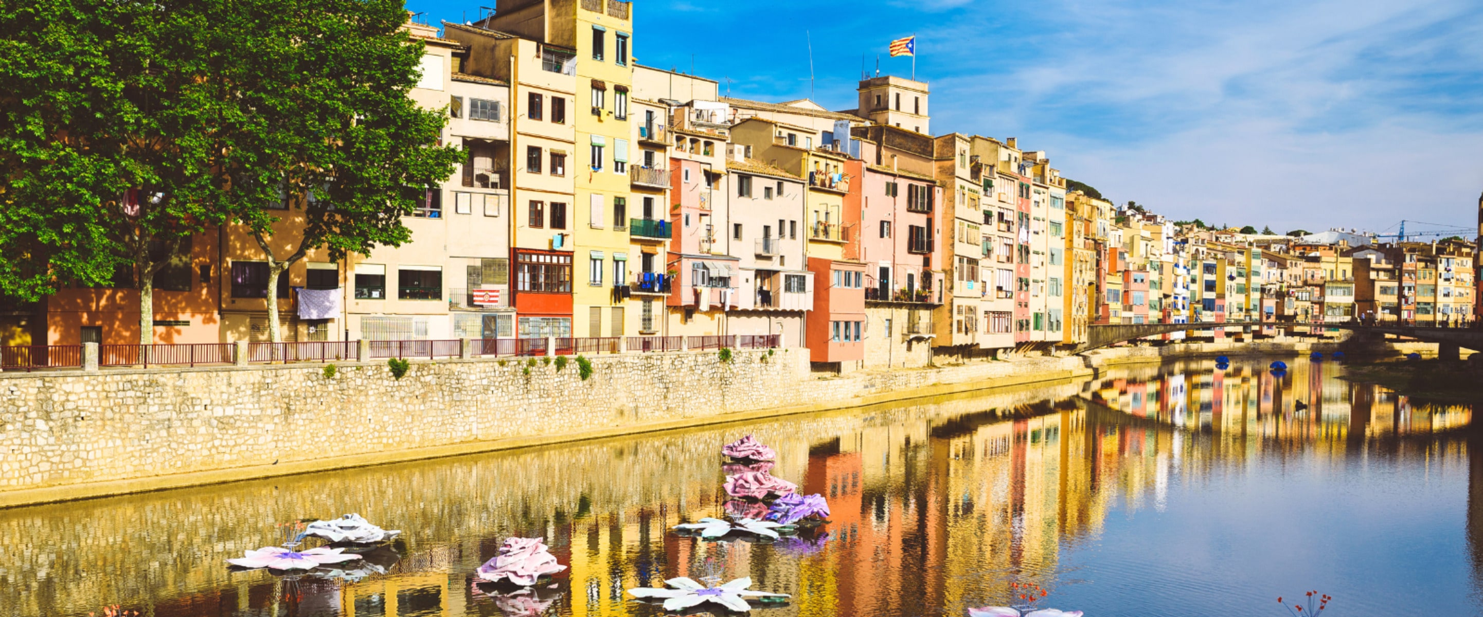 Where to Eat Vegan in Catalonia: Barcelona and Beyond