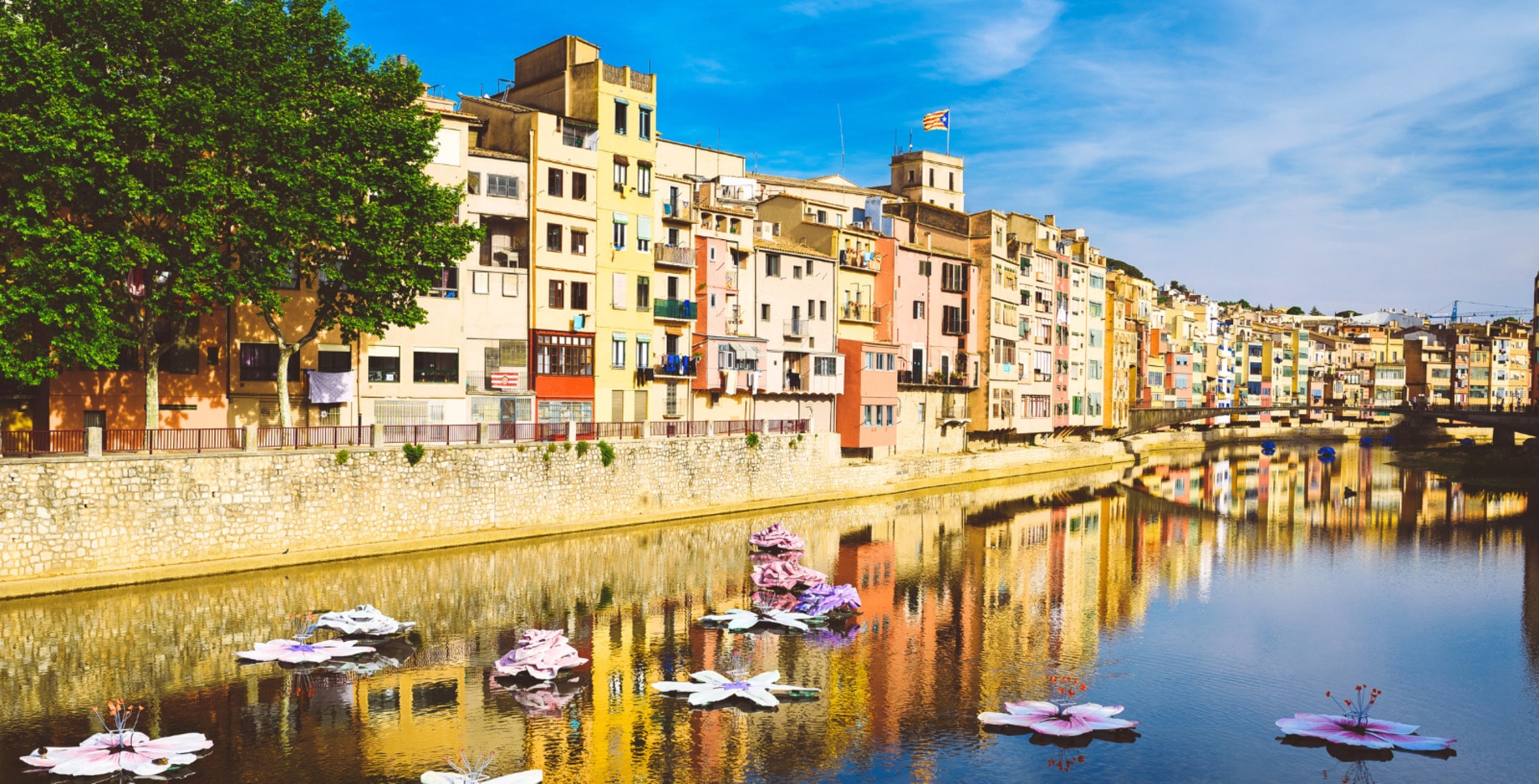 Where to Eat Vegan in Catalonia: Barcelona and Beyond