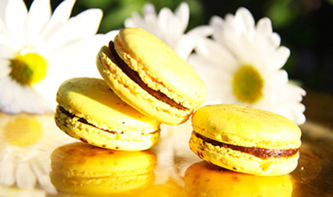 Feel-Good-Macaron_LG_TWMH