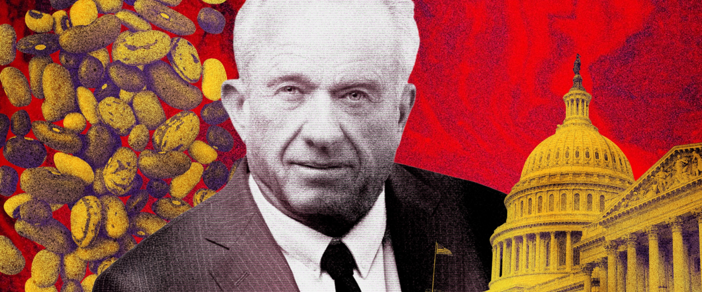 Inside the New Federal Food Pyramid,&nbsp;Protein Anxiety, and the American Diet