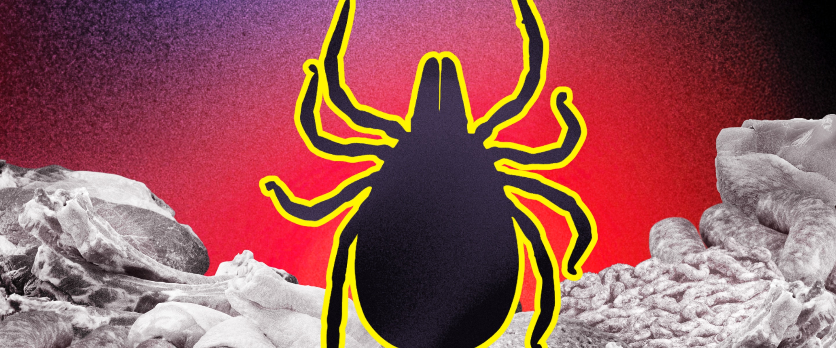 So … a Tick Just Made 500 People in Martha’s Vineyard Vegan