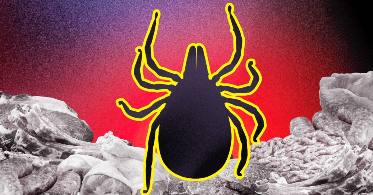 So … a Tick Just Made 500 People in Martha’s Vineyard Vegan