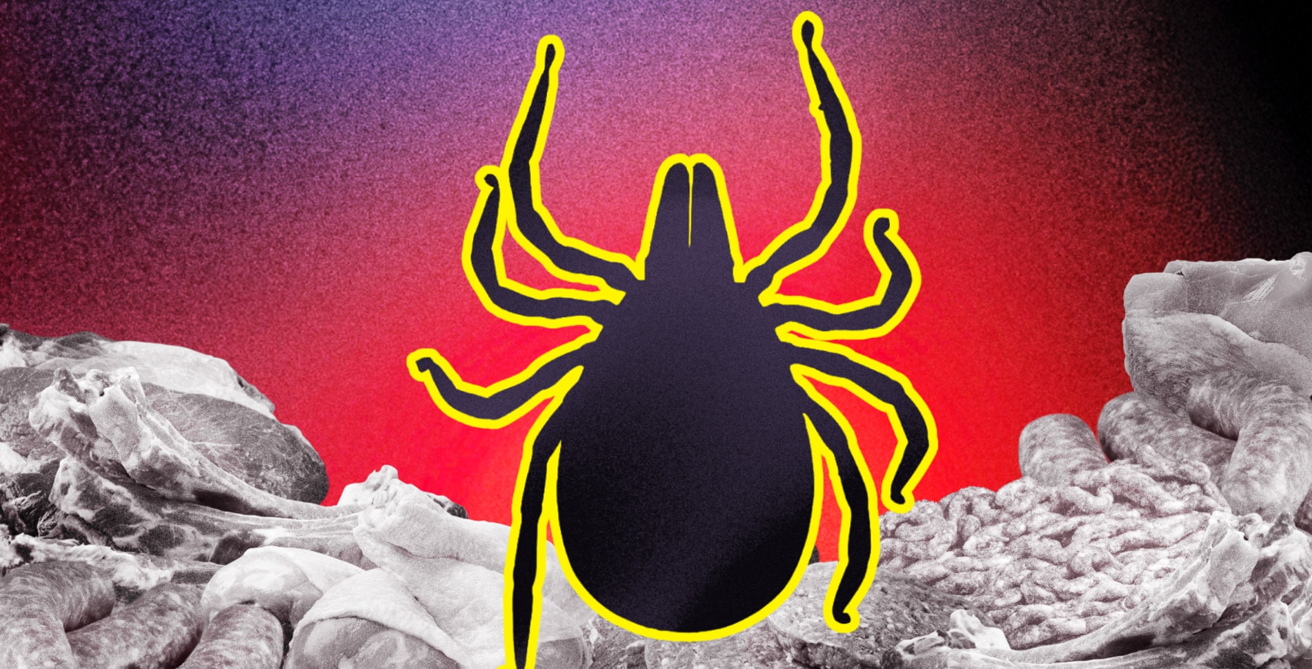 So … a Tick Just Made 500 People in Martha’s Vineyard Vegan