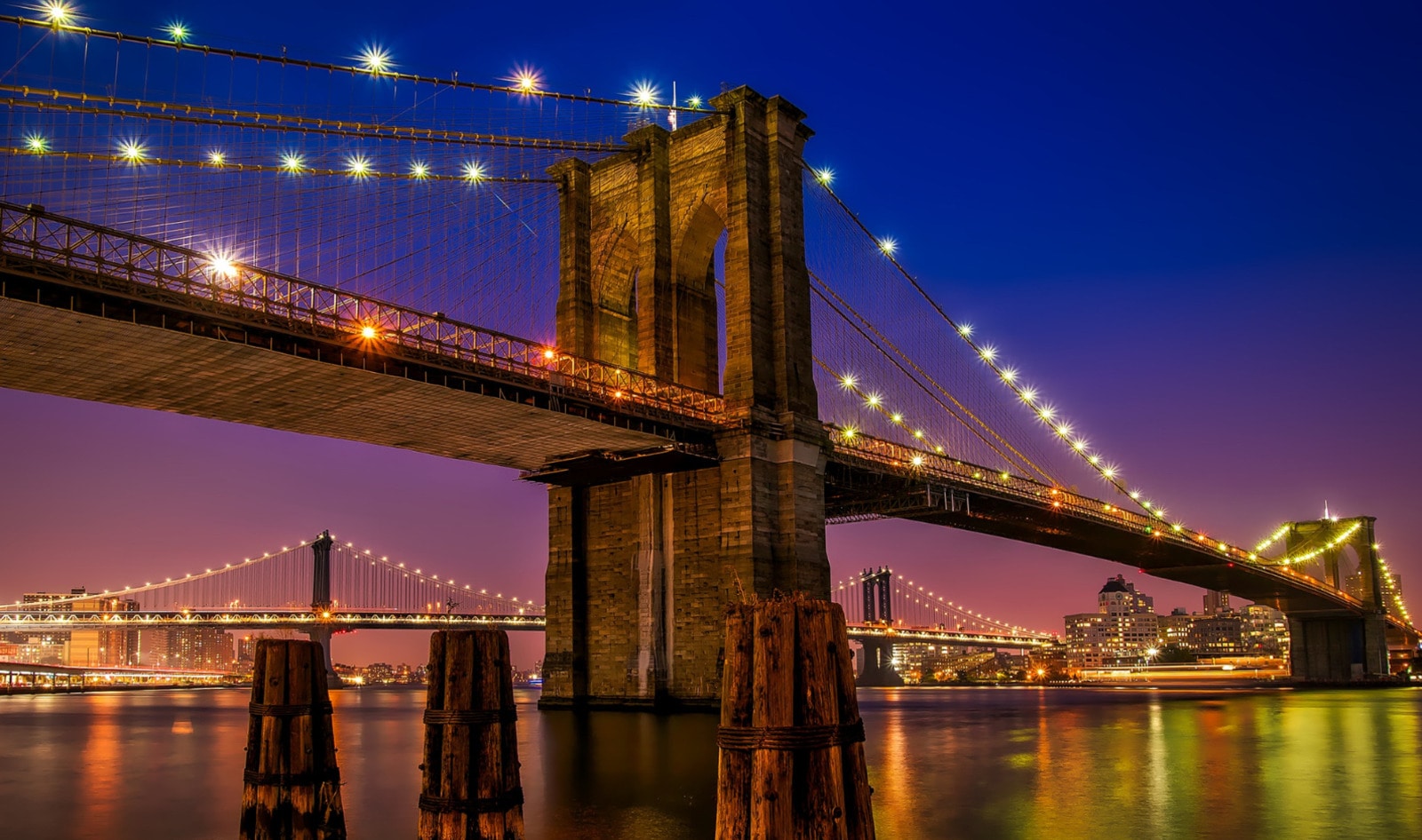 Best Vegan Cities in America: Why New York Fell Behind Portland, LA, and Austin