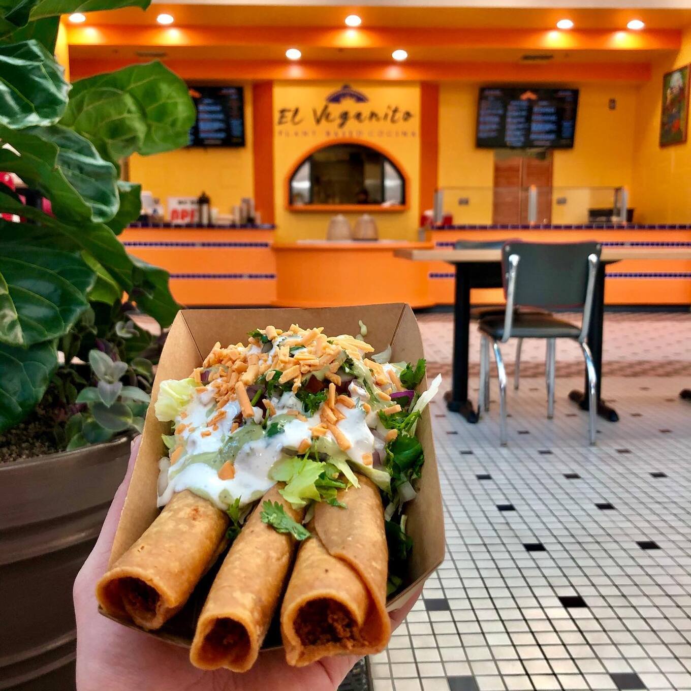  El Veganito