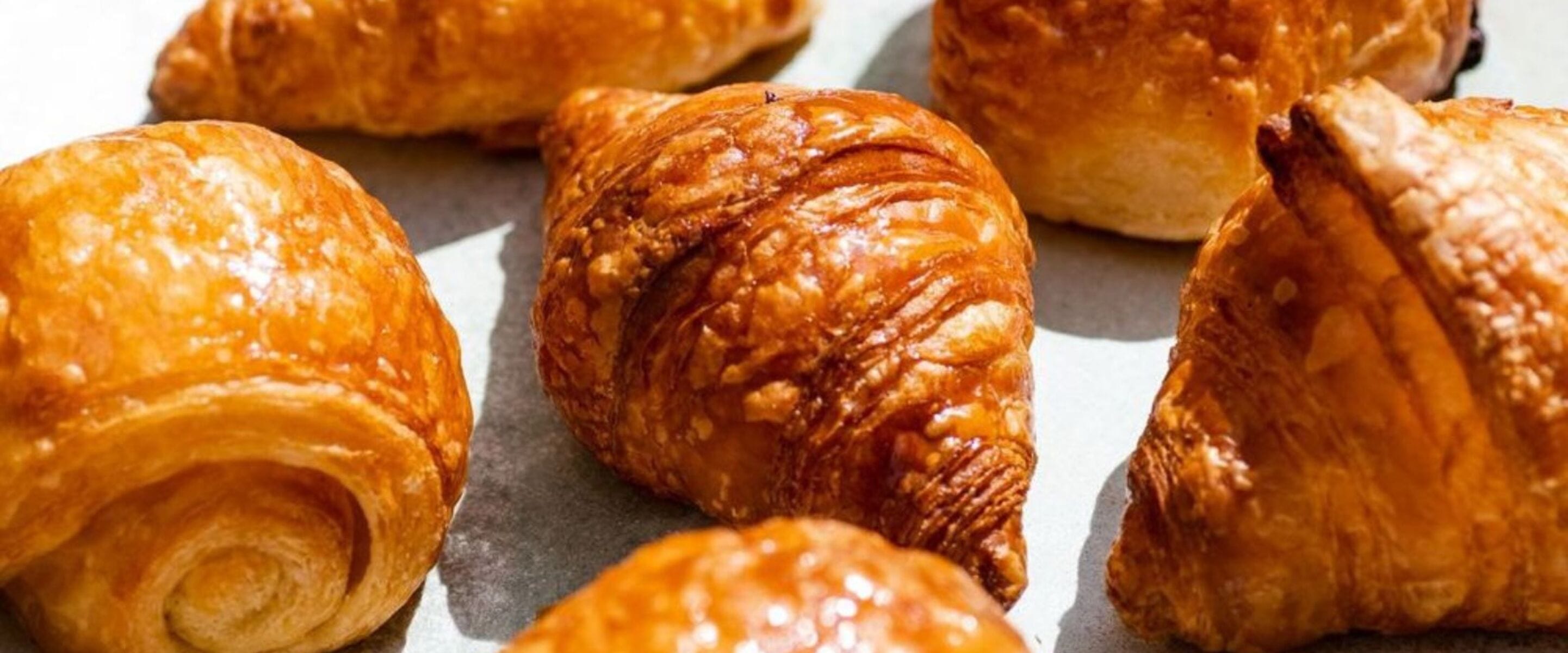 A Taste of Paris: The Best Vegan Cafés, Bakeries, and Restaurants