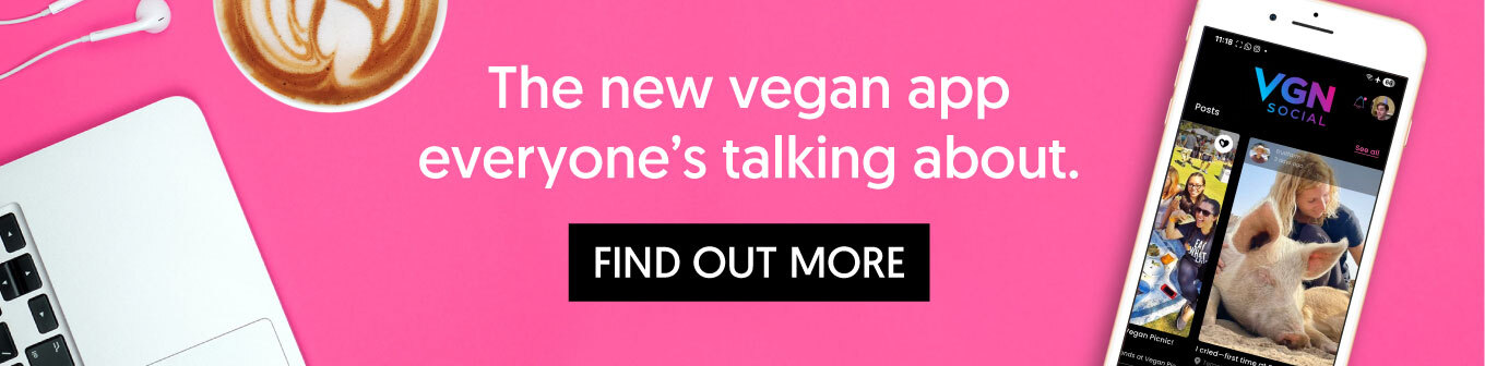 VGN.VN.com.10.2025.1360x336