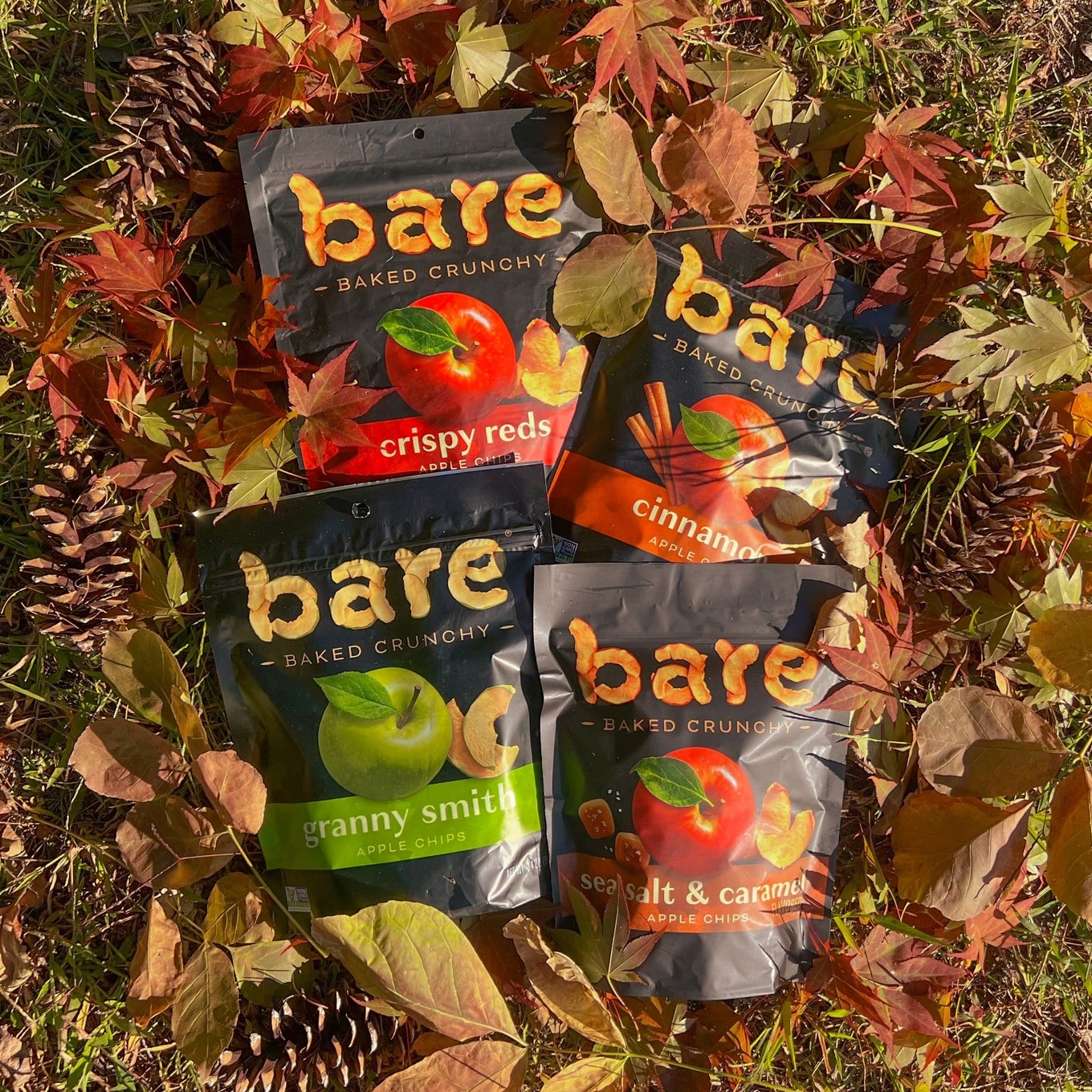Bare dehydrated fruit snacks