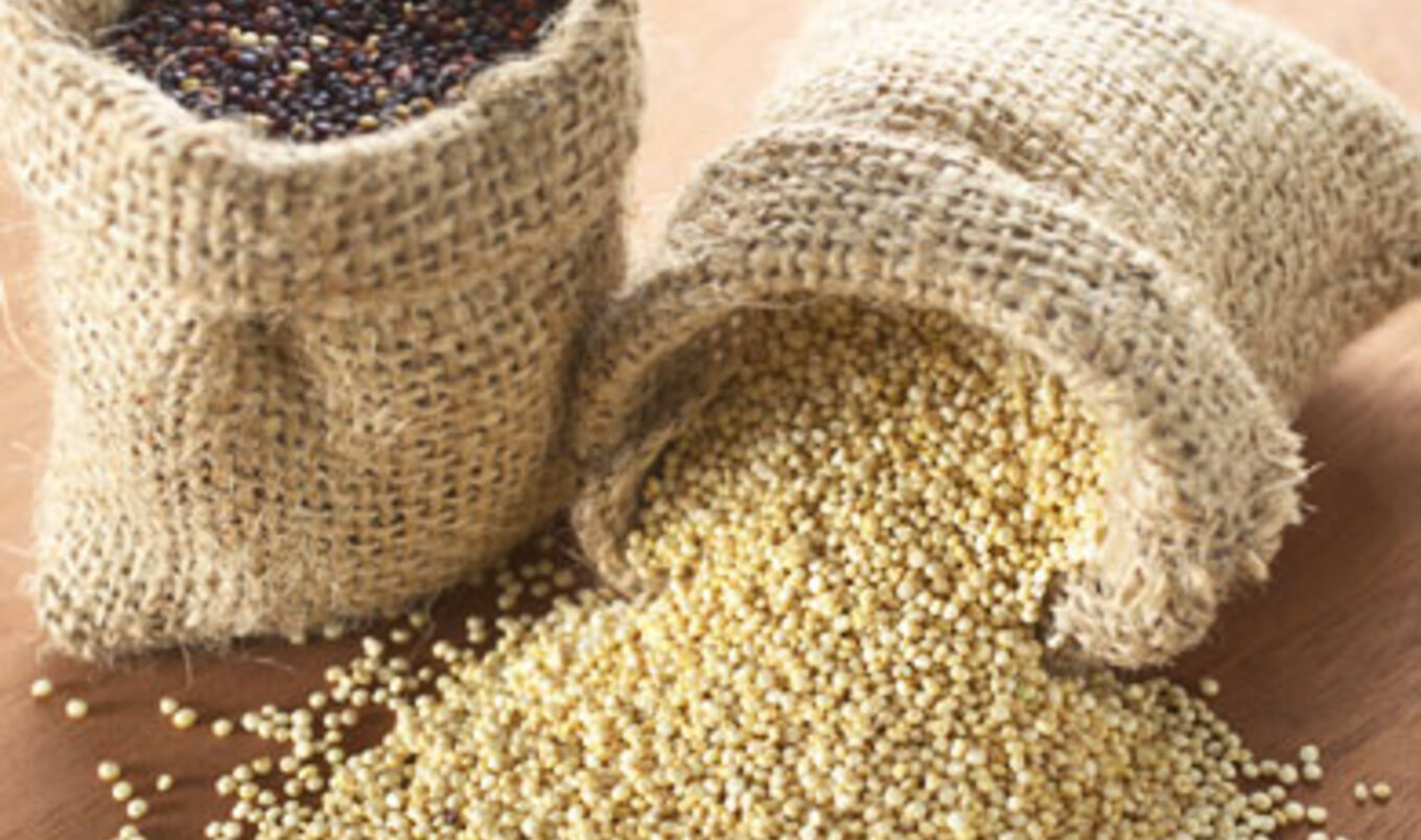 Quinoa Quandry: The Truth Behind South America's Superfood