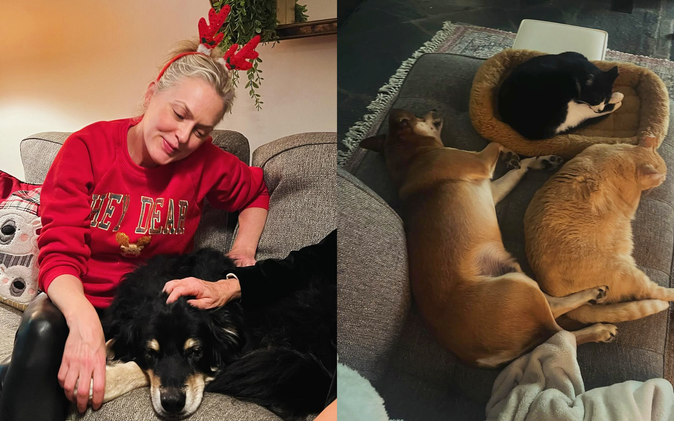 Elaine-Hendrix-and-companion-animals